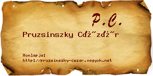 Pruzsinszky Cézár névjegykártya